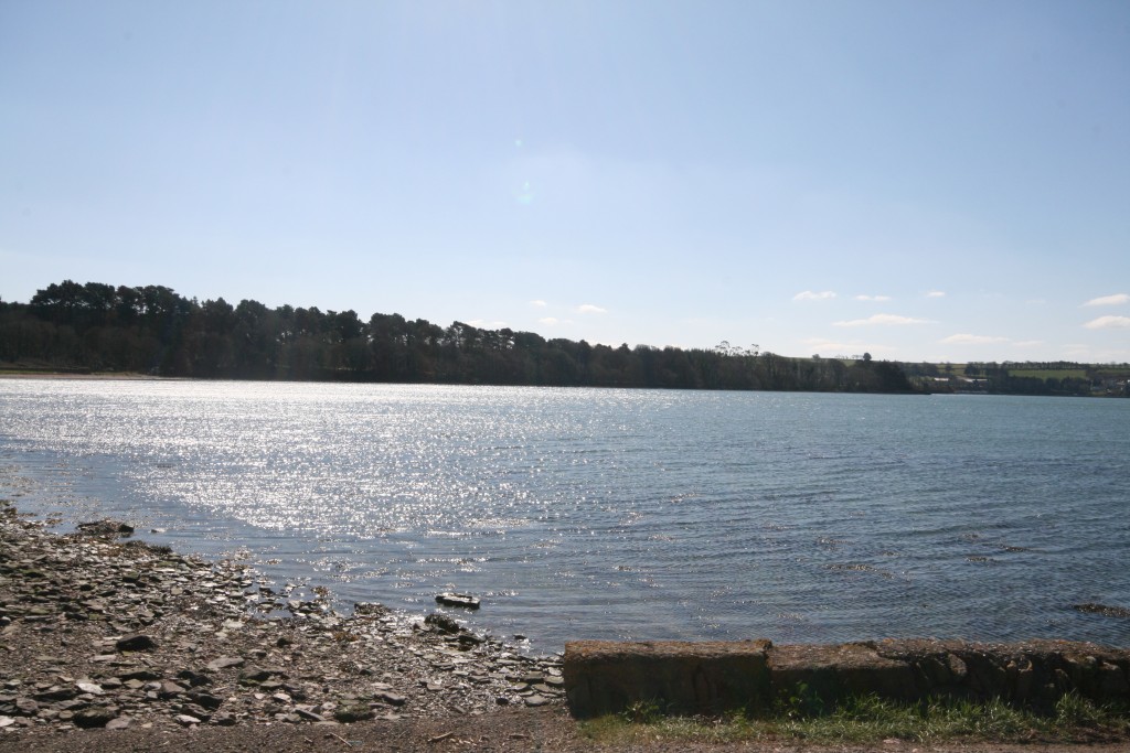 Wolcott East Ferry Midleton Co Cork McCarthy McGrathMcCarthy McGrath